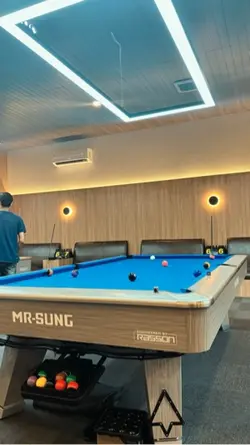 Billiard days