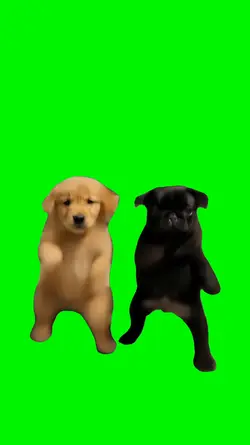 Dancing Wop Dogs