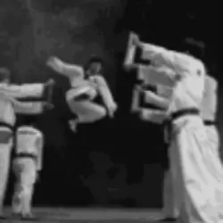 We got the Karate...