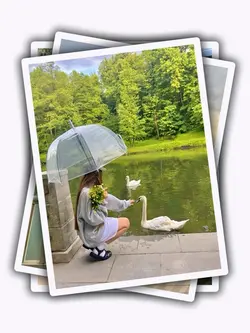 12 Photos Transition