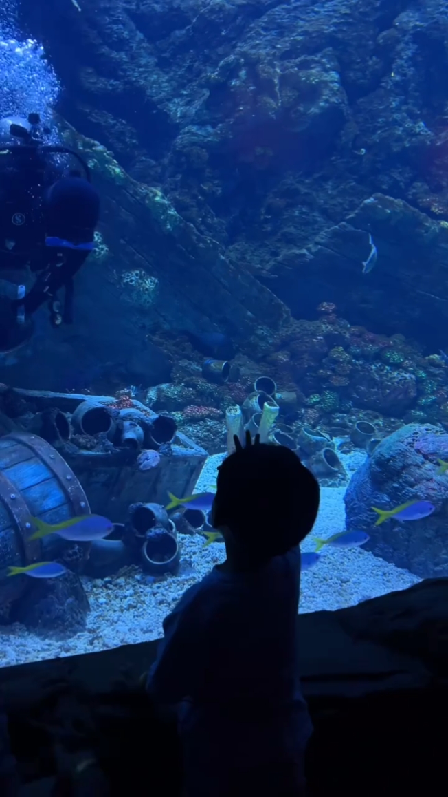 Aquarium Date