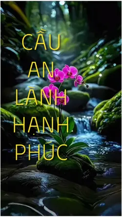 CẦU AN LÀNH ..
