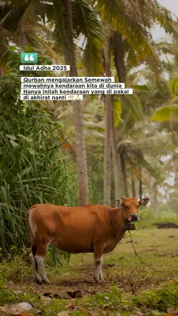 qurban mengajarkan
