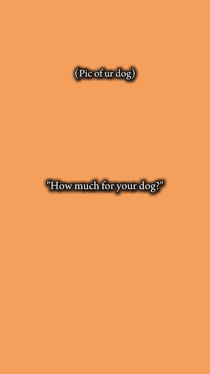 Hund