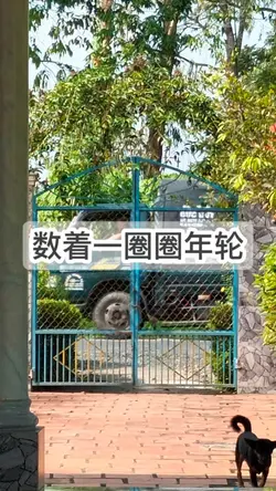 [2] 数着一圈圈年轮