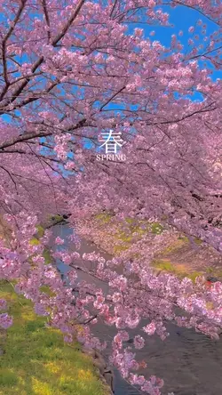 約束だよ!!