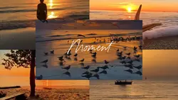 Sunset Moments