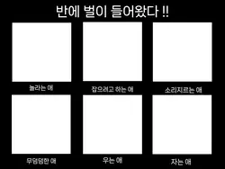 반에 벌이 들어왔다 !!