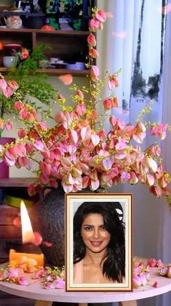 Photo frames 