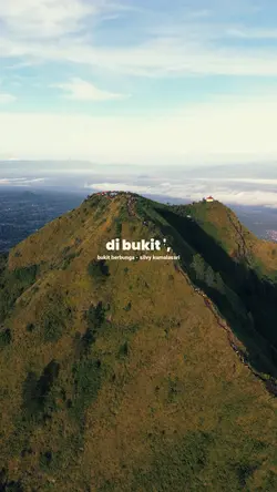 Bukit berbunga