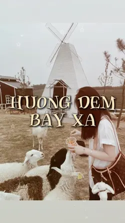 hương đêm bay xa