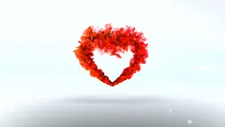 heart intro