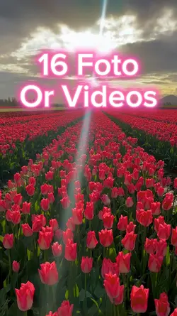 16 video slides