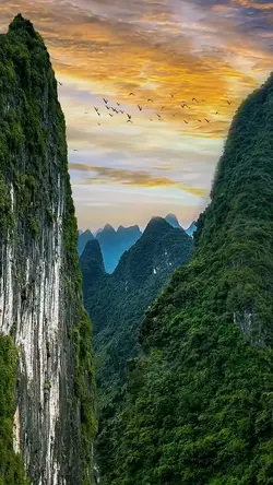 cinematic nature
