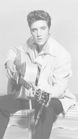 elvis stories