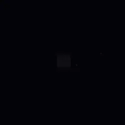 tiktok viral 
