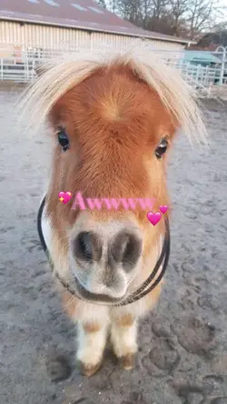 Support for support?