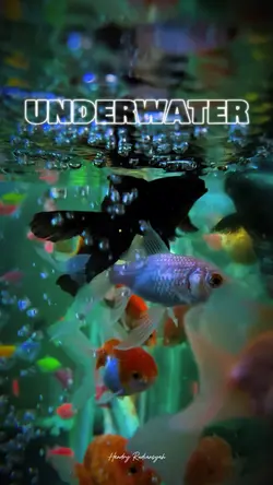 Fish Underwater