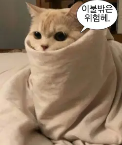 사진 나눔