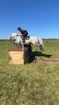 versatile