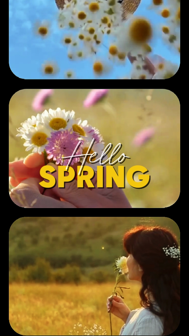 Olá Primavera 