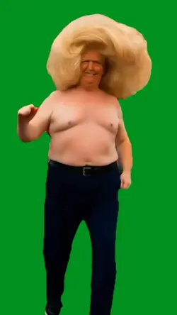 trump hair