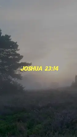 Joshua 23:14