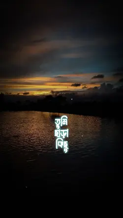 তুমিছাড়া কিছু চাইনা