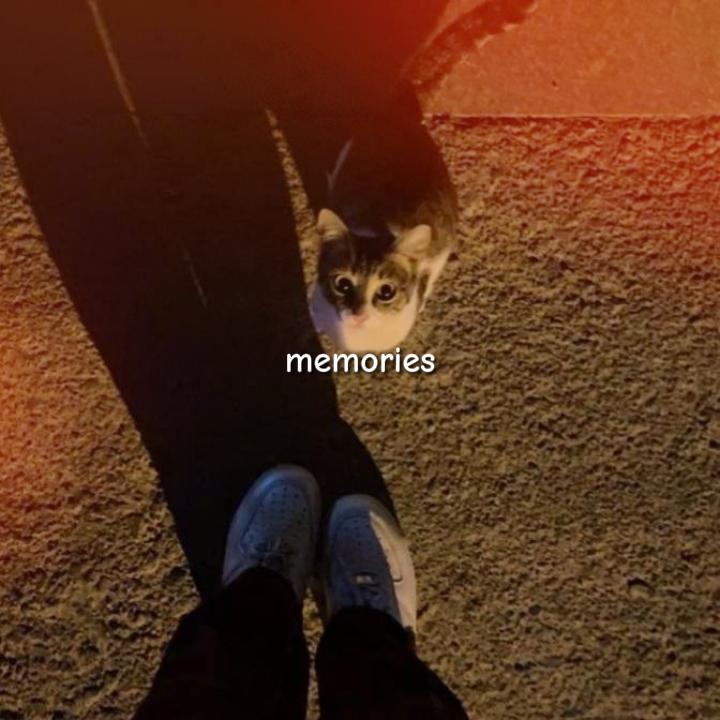 memories