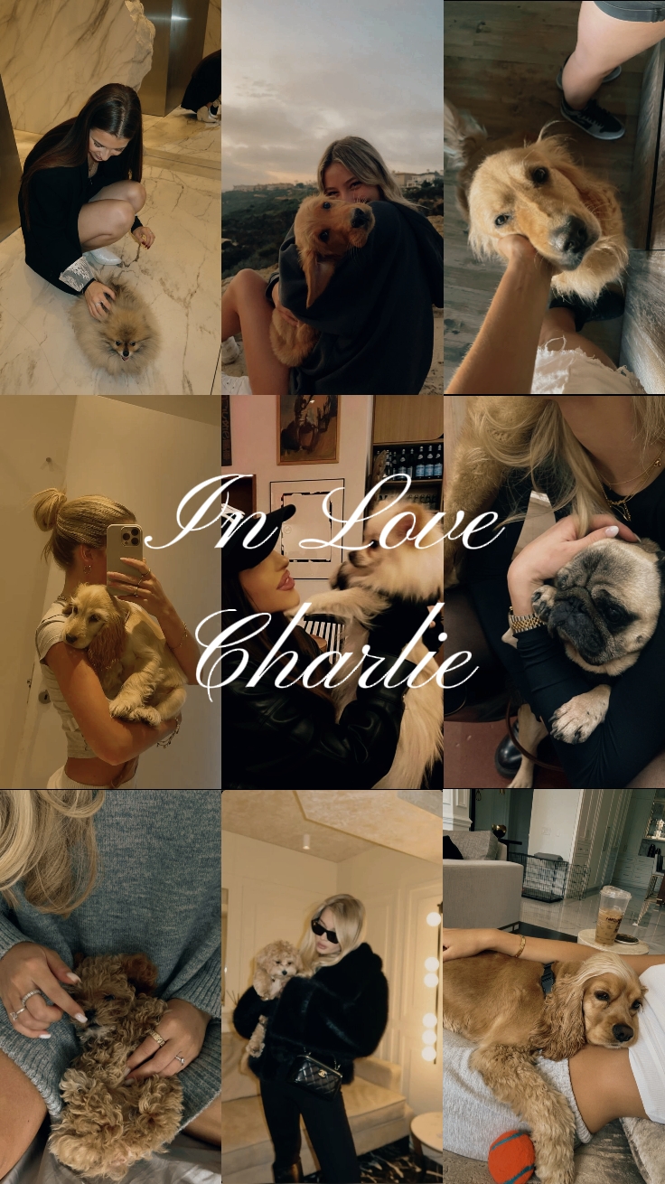Verliebt Charlie