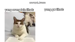 yg orang lain lihat