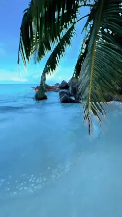 Slowmotion video 🦋