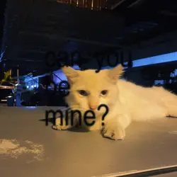 can you be mine?