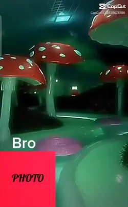 where za fuk am I