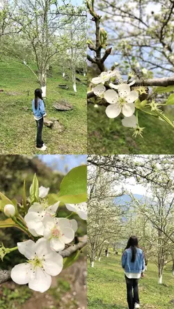 4 ảnh 1 khung hình