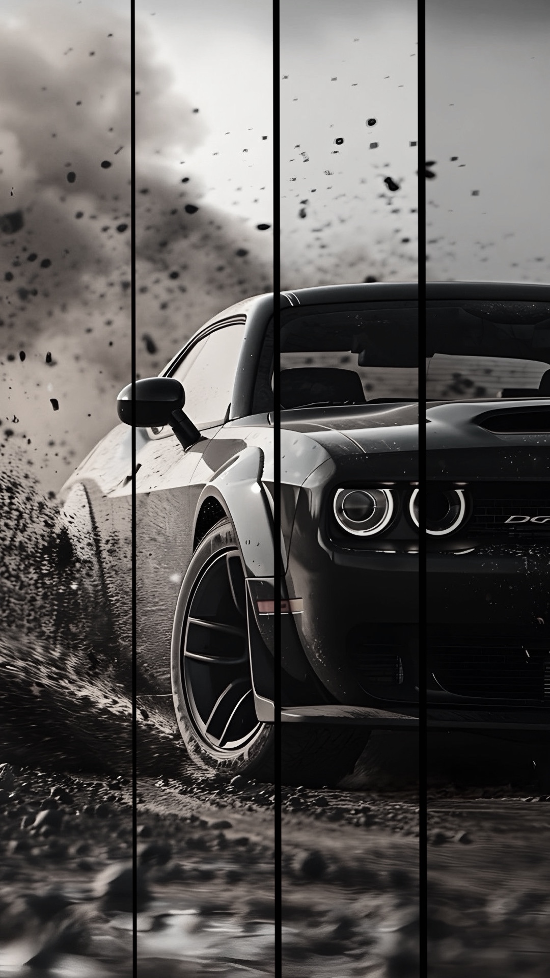 Cover Picture