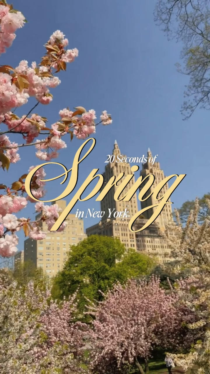 Spring In New Yor