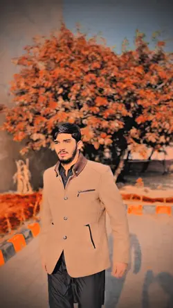 Trending template ❤️‍🔥