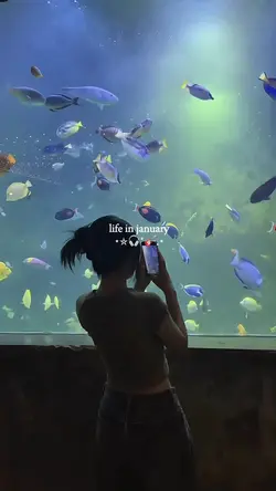 Life in january 2025