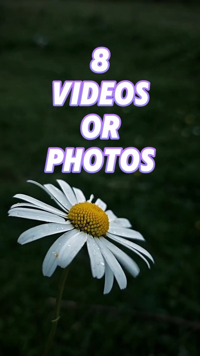 8 Videos or Photos