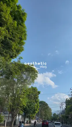 Aesthetic Vlog