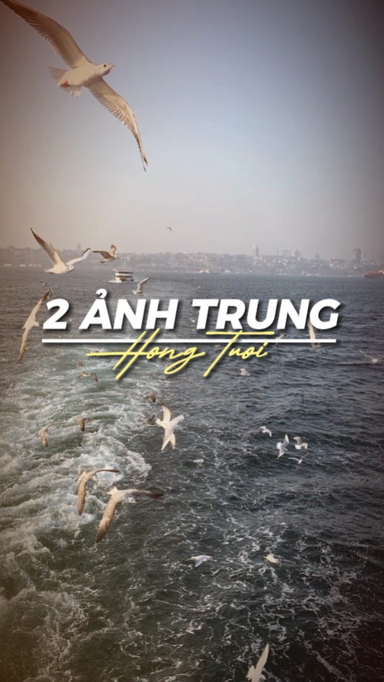 2 Ảnh Trung