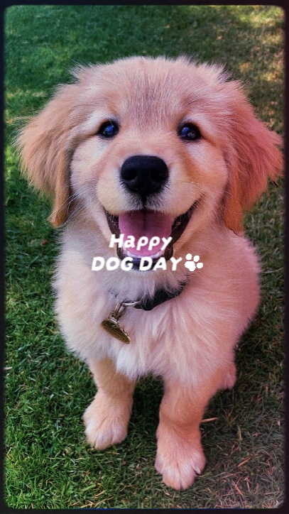 Feliz día del perro