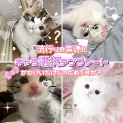 かわいいだけじゃだめですか?