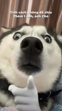 T.c không dễ chịu 