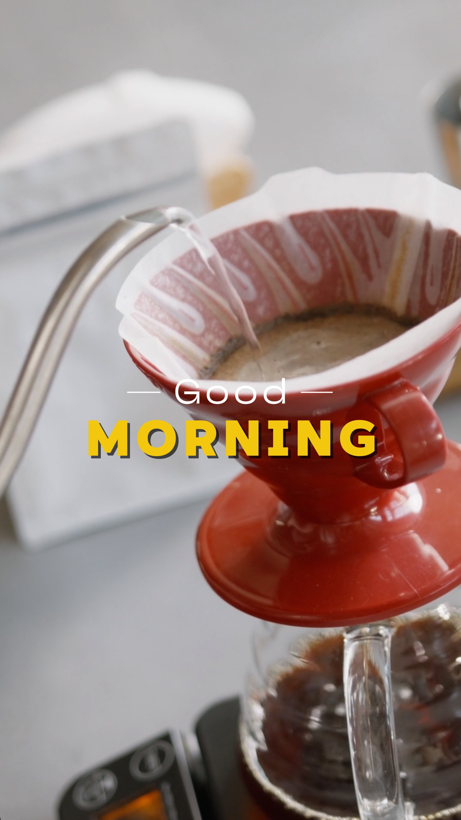 Bom Dia