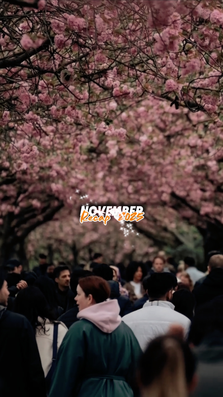 November Recap 2025