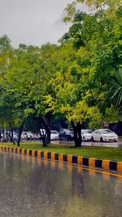  Rain+ Winter 