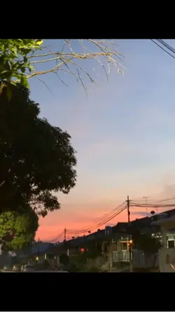 live一图