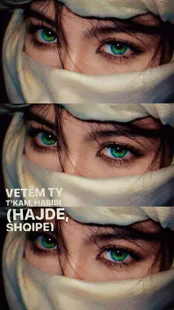 Habibi Trend